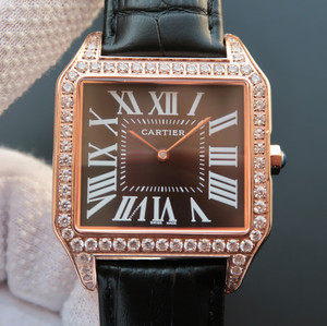 Cartier Santos (Santos) serie WH100751 reloj mecánico neutro (42MM)